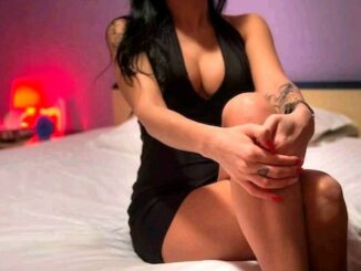 gallarate escort advisor varese