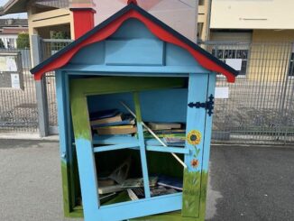 castanoprimo vandali casette libri