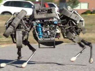 #magenta scuole robotica università