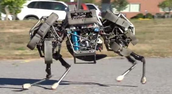 #magenta scuole robotica università