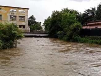 parabiago olona sindaci polizialocale