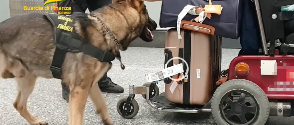 malpensa-cocaina-sedia-rotelle