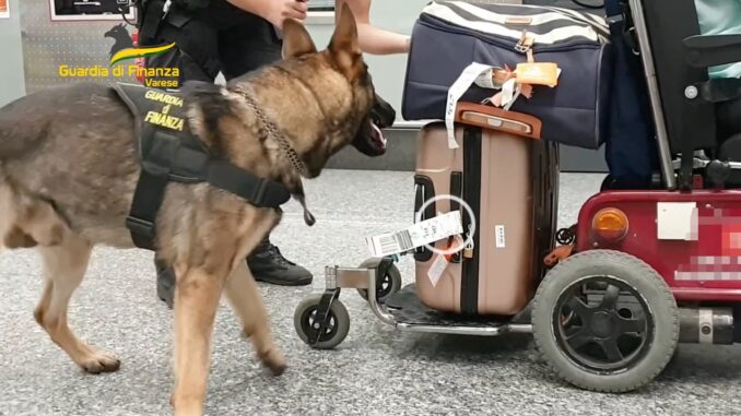 malpensa-cocaina-sedia-rotelle