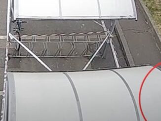 gallarate video bicicletta pignataro