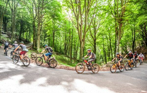 Varese Doyoubike