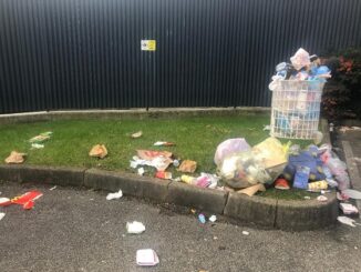 legnano aemmelineaambiente rifiuti indagine