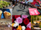 varese provincia eventi weekend