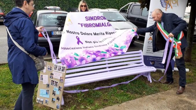somma panchina viola fibromialgia somma panchina viola fibromialgia