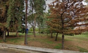 canegrate parco scuola borsedistudio
