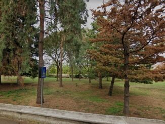 canegrate parco scuola borsedistudio