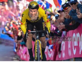 ciclismo giro roglic