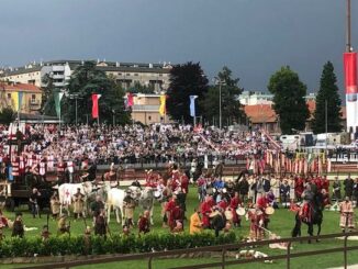 legnano palio pagelle legnarello