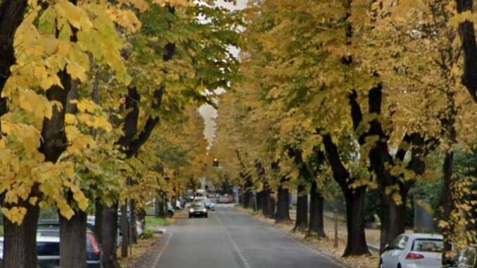gallarate aggressione famiglia minorenni gallarate aggressione famiglia minorenni