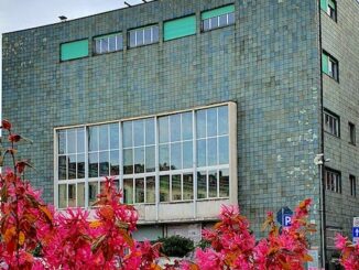 Palazzo minoletti progetto its