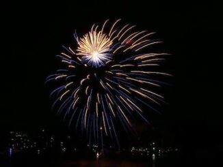 sesto fuochi artificio commercianti