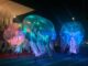 castanoprimo sport centrosportivo inaugurazione