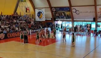 Canegrate Bulldog basket femminile