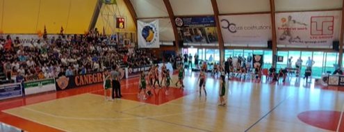 Canegrate Bulldog basket femminile