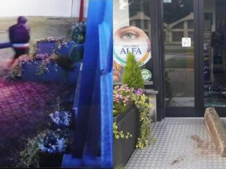 Gallarate furto parafarmacia cedrate