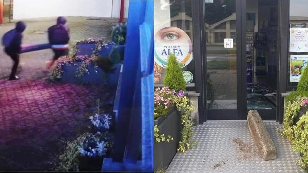 Gallarate furto parafarmacia cedrate