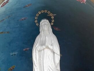 gallarate ospedale statua madonna
