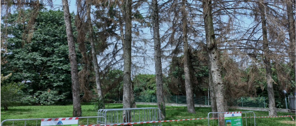 legnano parco castello alberi