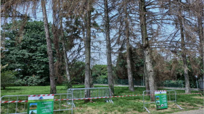 legnano parco castello alberi