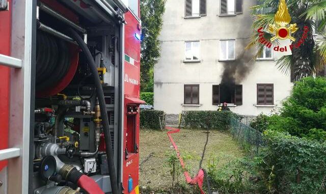 luino incendio cane