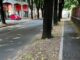 legnano lavori strade marciapiedi
