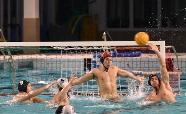 legnano rarinantes pallanuoto seriec