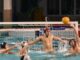 legnano rarinantes pallanuoto seriec