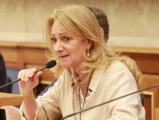 Malpensa masterplan senatrice sironi