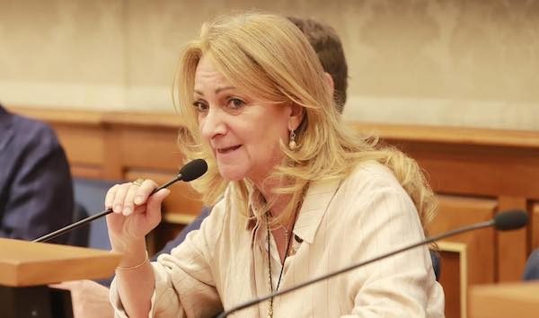 Malpensa masterplan senatrice sironi