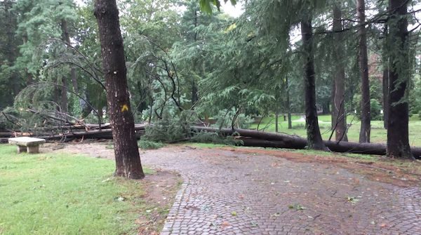 legnano maltempo danni parcocastello