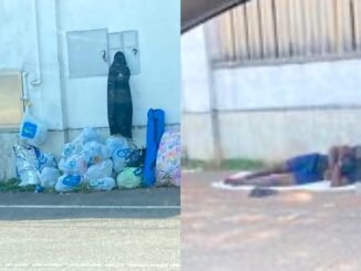 Gallarate eurospin pugile musulmano
