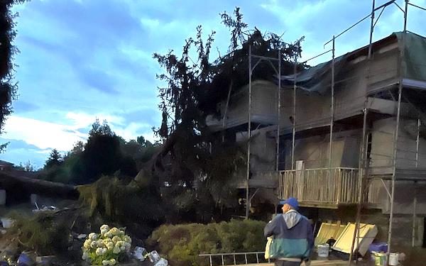 golasecca albero caduto scuole
