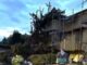 golasecca albero caduto scuole