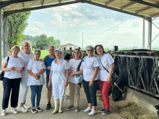 legnano solenelcuore emiliaromagna solidarietà