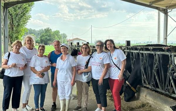 legnano solenelcuore emiliaromagna solidarietà