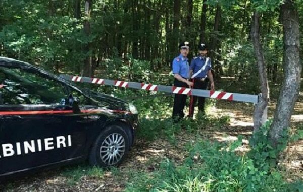 boschi rugaredo spaccio