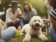 ferno area cani pic nic