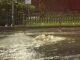 cavaria pnrr opere allagamento