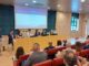 liuc sella imprese