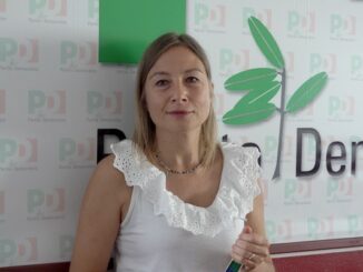 segreteria pd alice bernardoni
