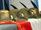 sumirago festa alpini romagna 12