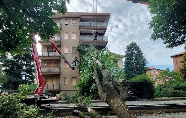 legnano maltempo alberi viabilità