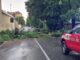 varese cambiamenti climatici
