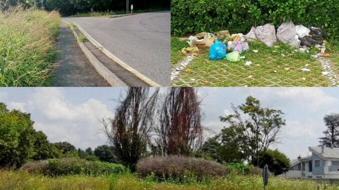 samarate decoro urbano verde
