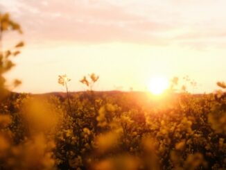 weekend sole temperatura rimonta
