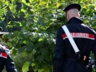 Sesto calende spaccio droga
